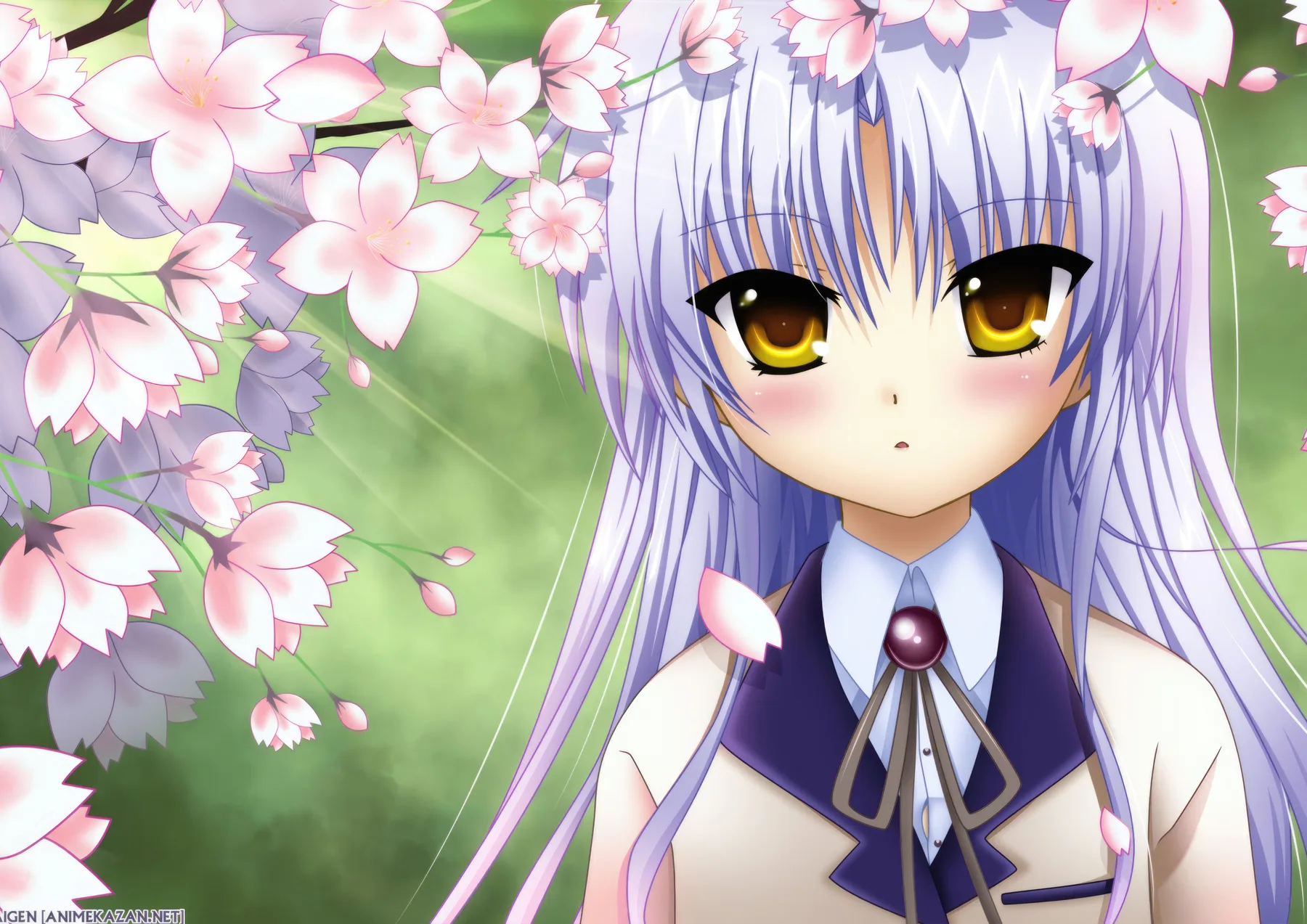 Kanade Tachibana Sakura