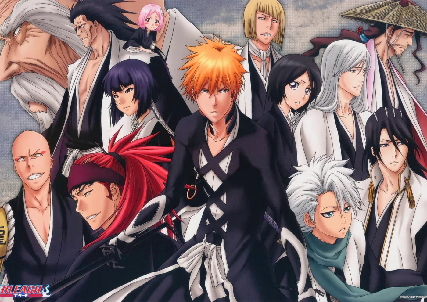 Elenco Completo Bleach Shinigamis