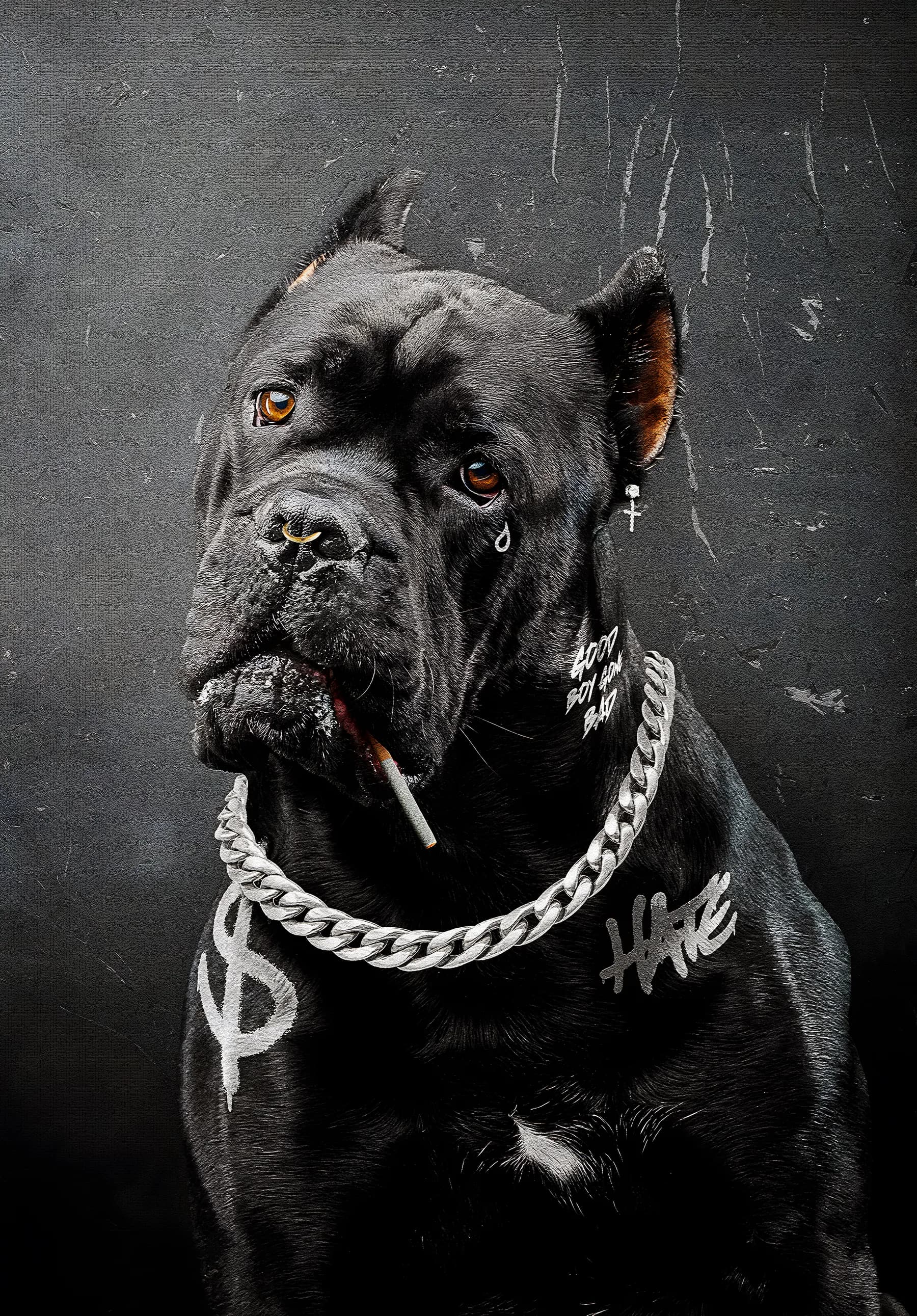 Perro Cane Corso Street Art