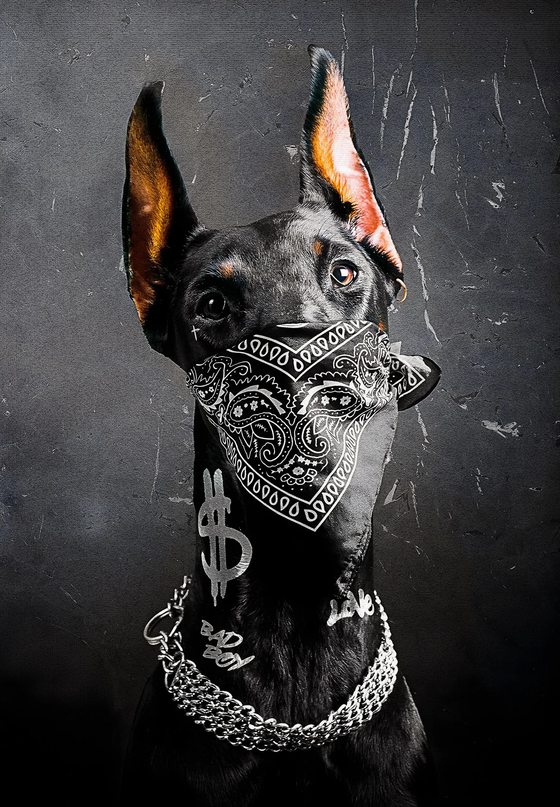 Doberman Bandana y Cadena