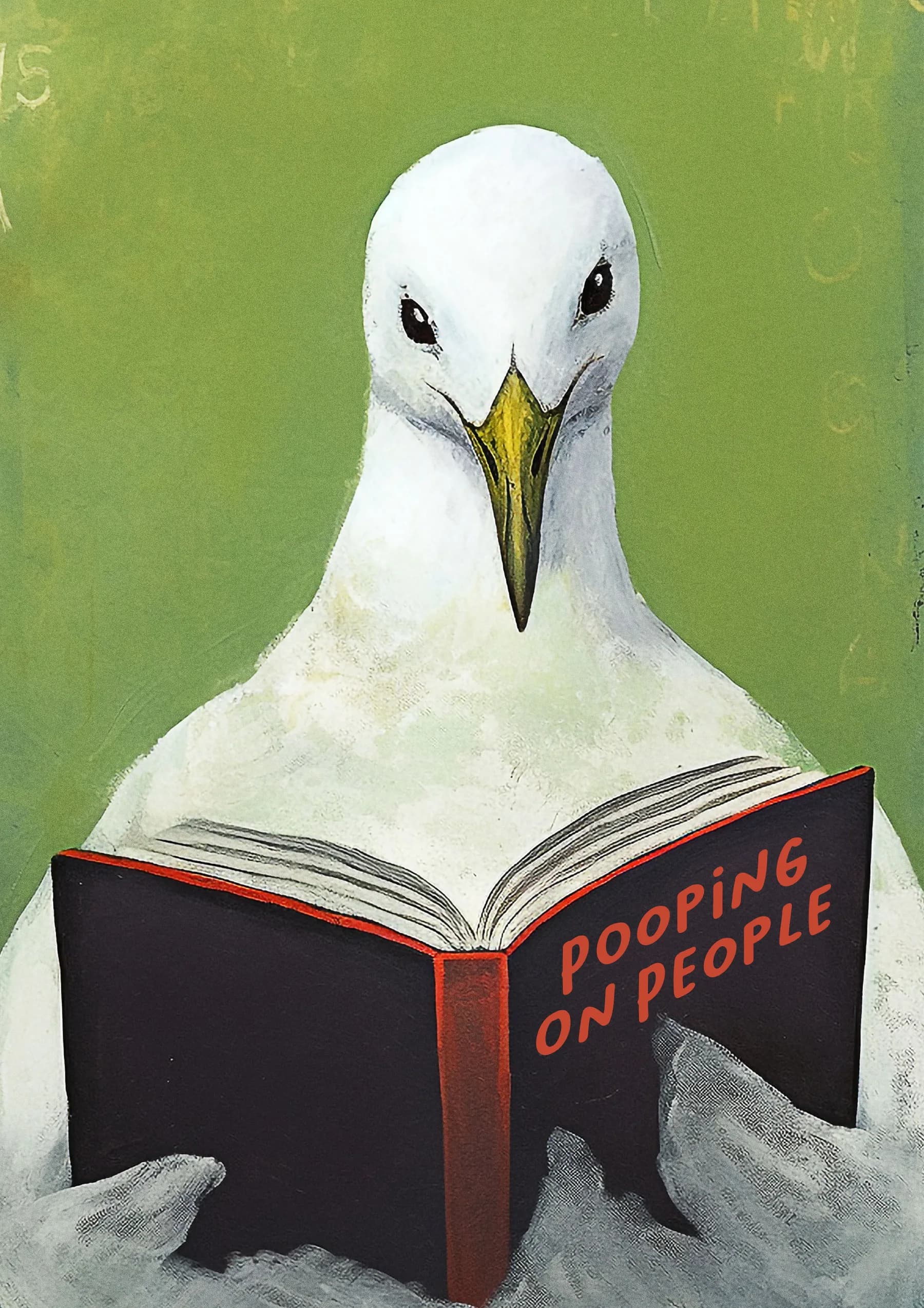 Gaviota Pooping on People