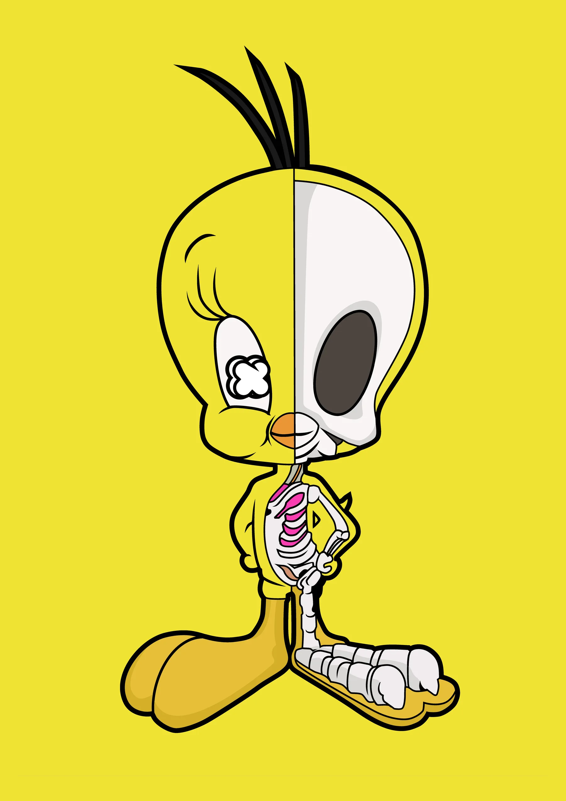 Tweety Piolin Rayos X