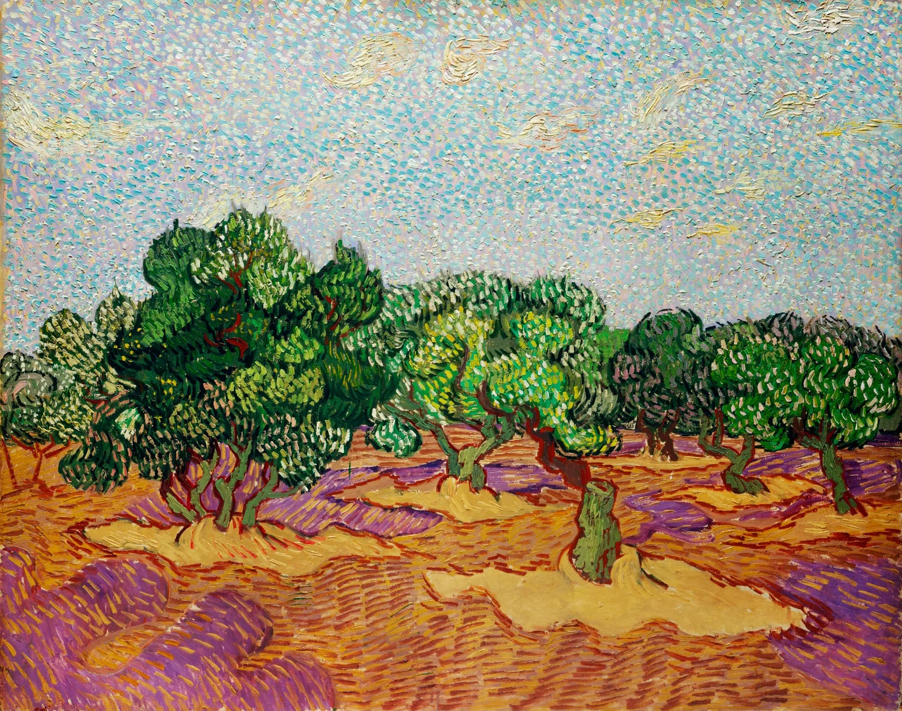 Olivar - Van Gogh