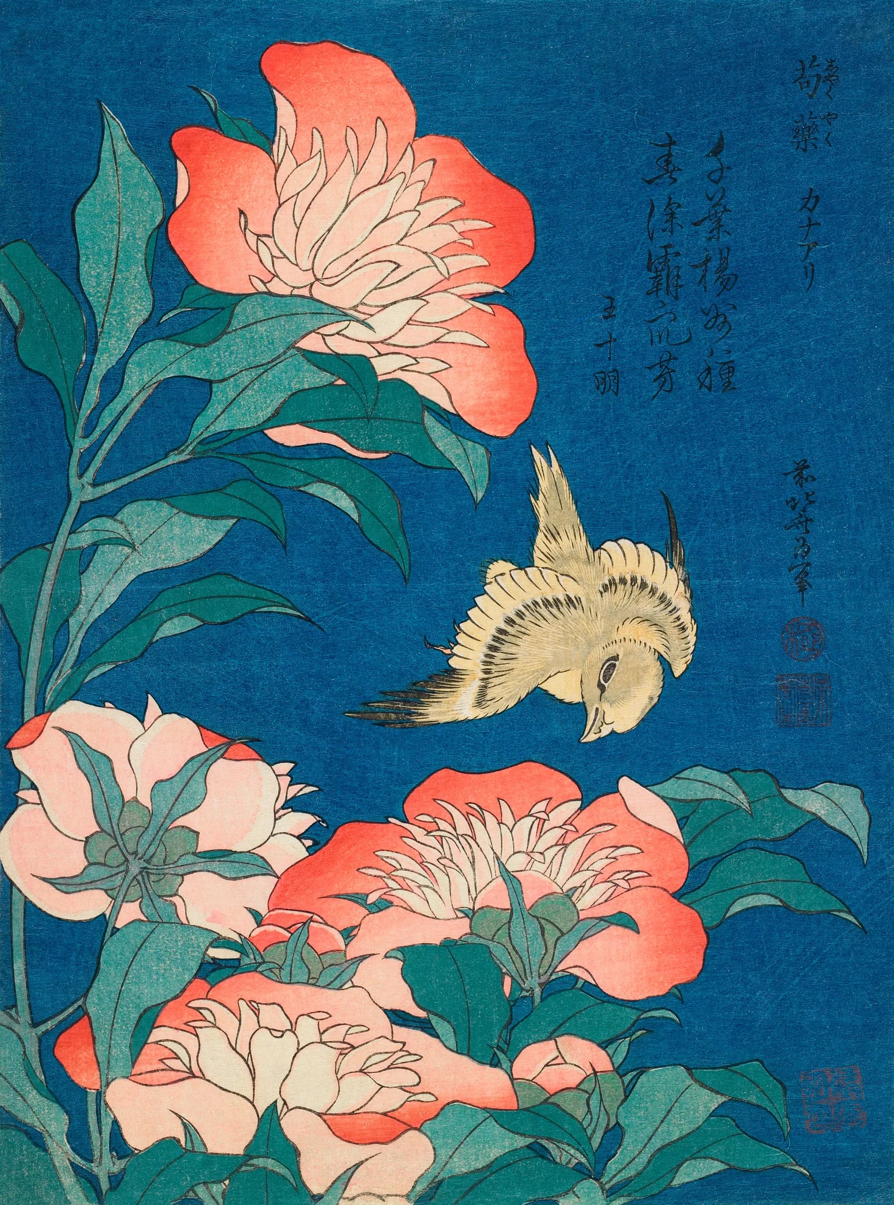 Camelias - Hokusai