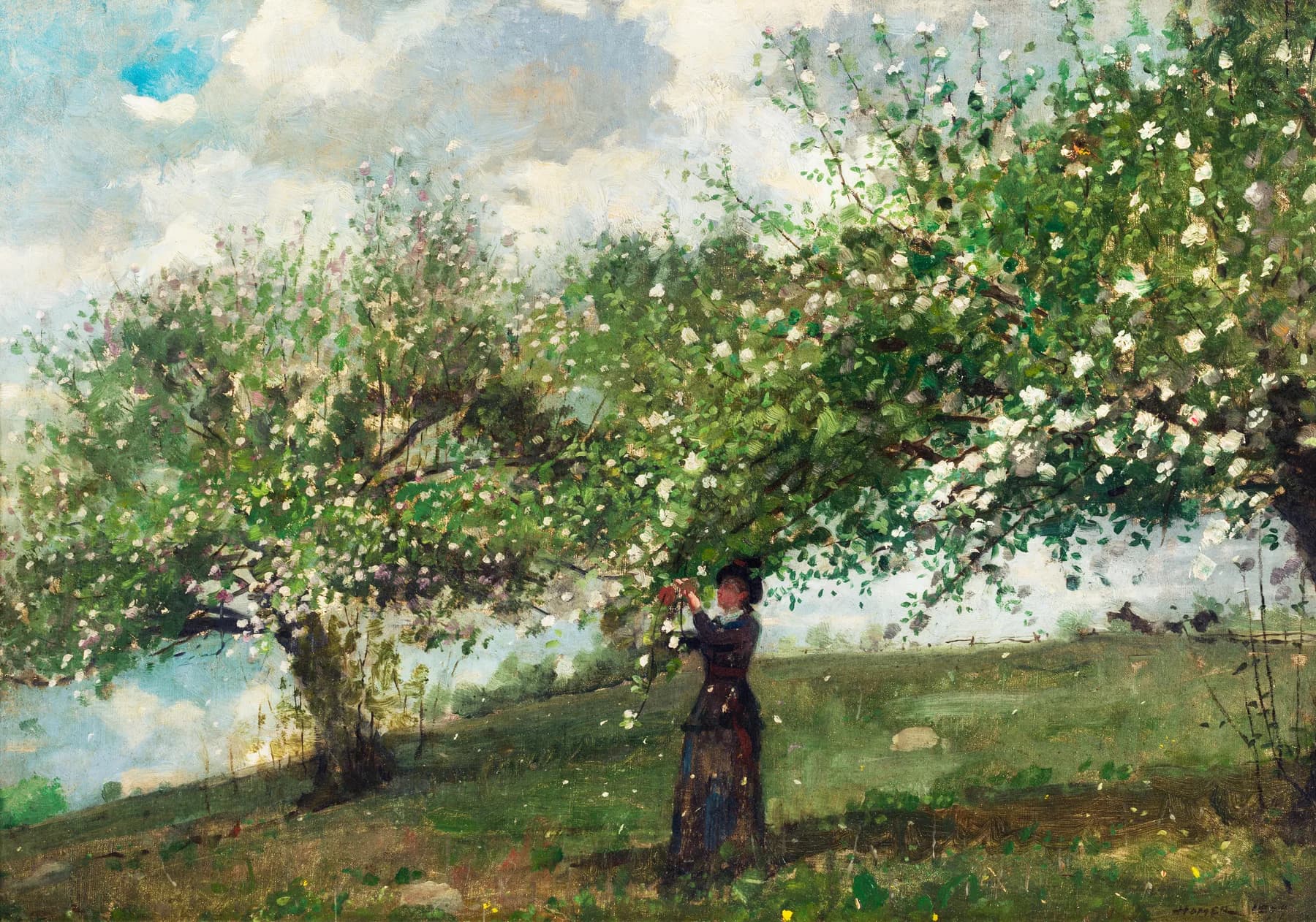 Mujer en el Jardin de Manzanos - Winslow Homer