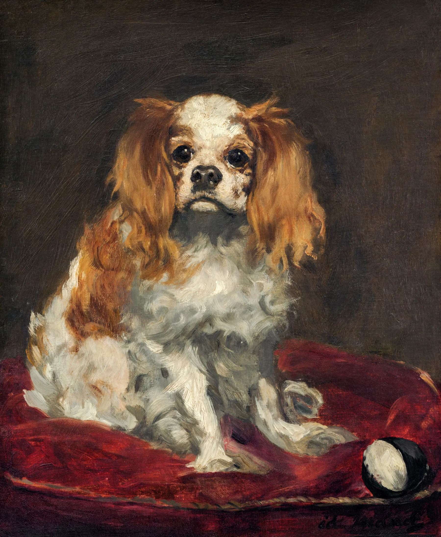 Perro Rey Carlos - Manet
