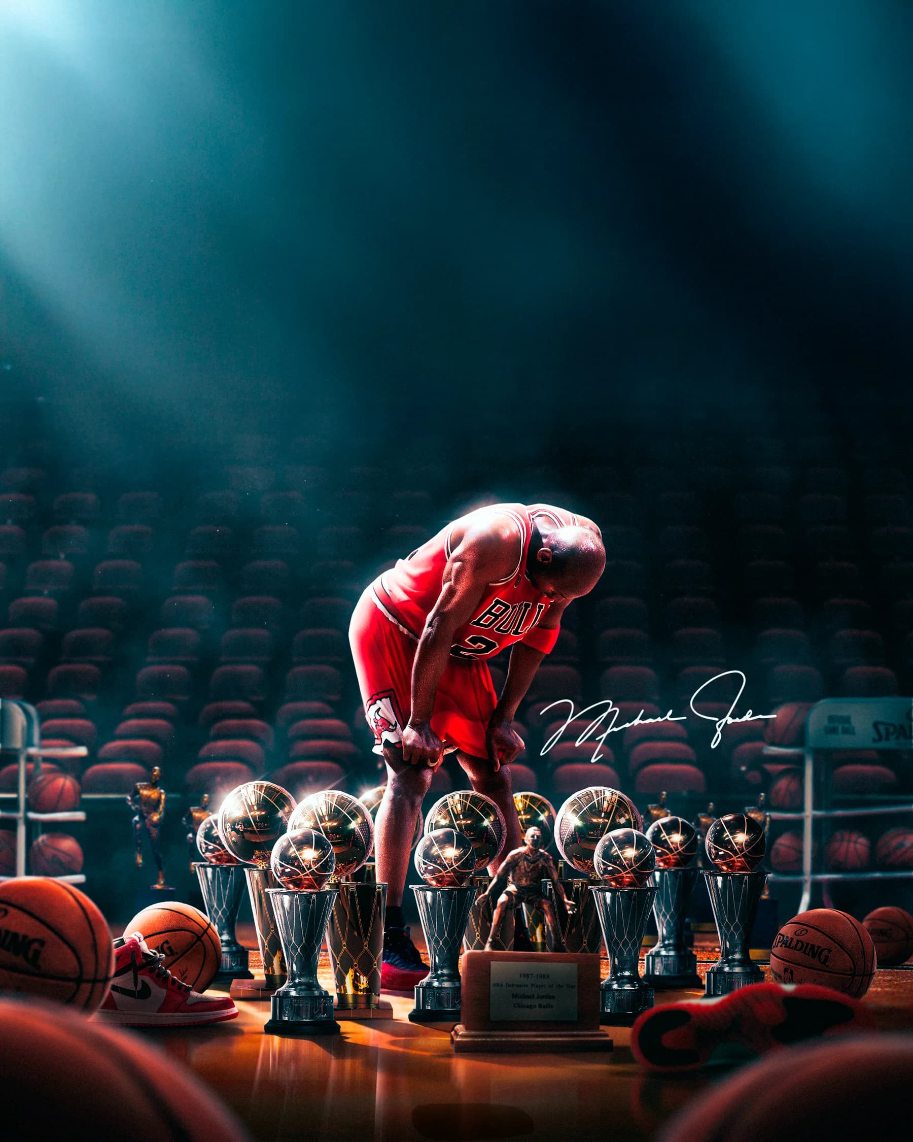 Michael Jordan Bulls con Trofeos