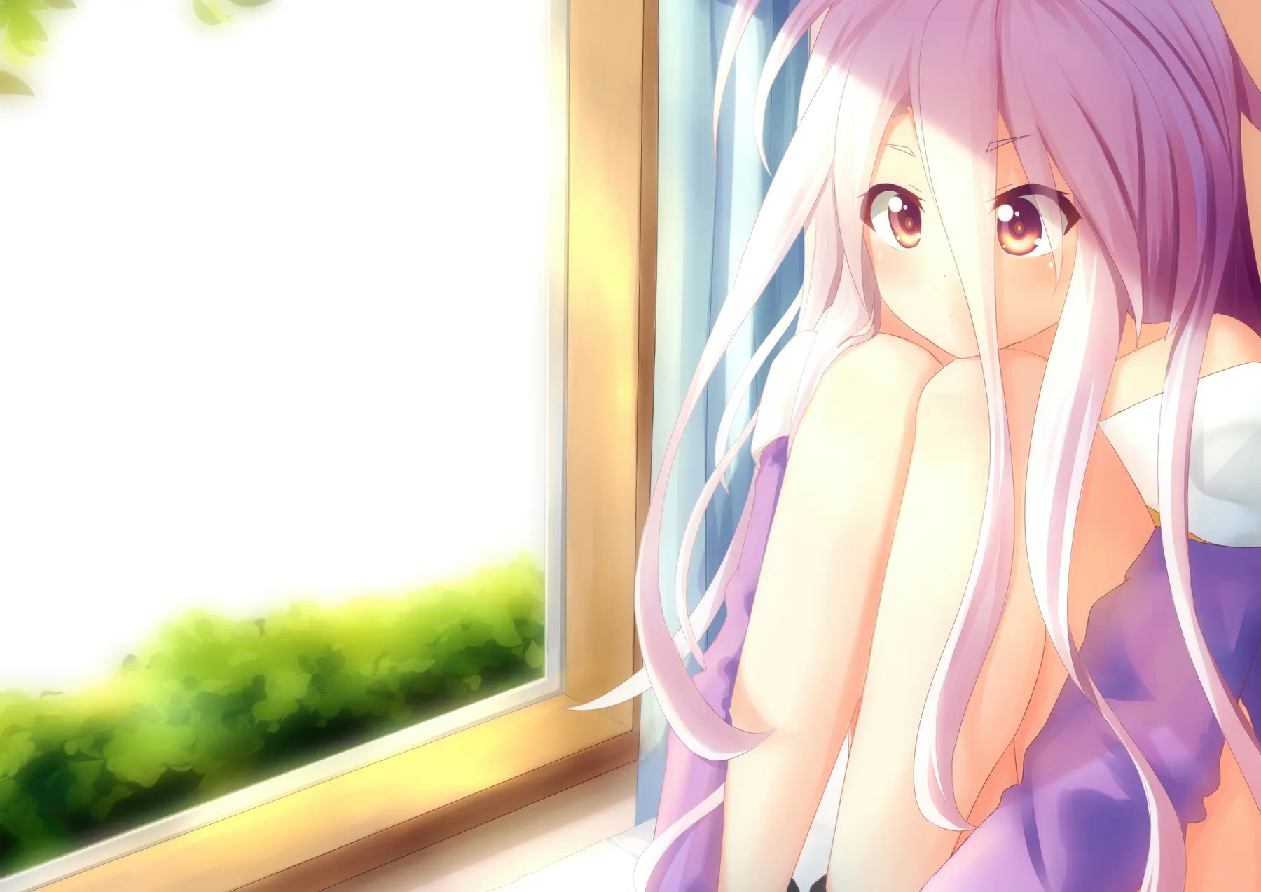No Game No Life