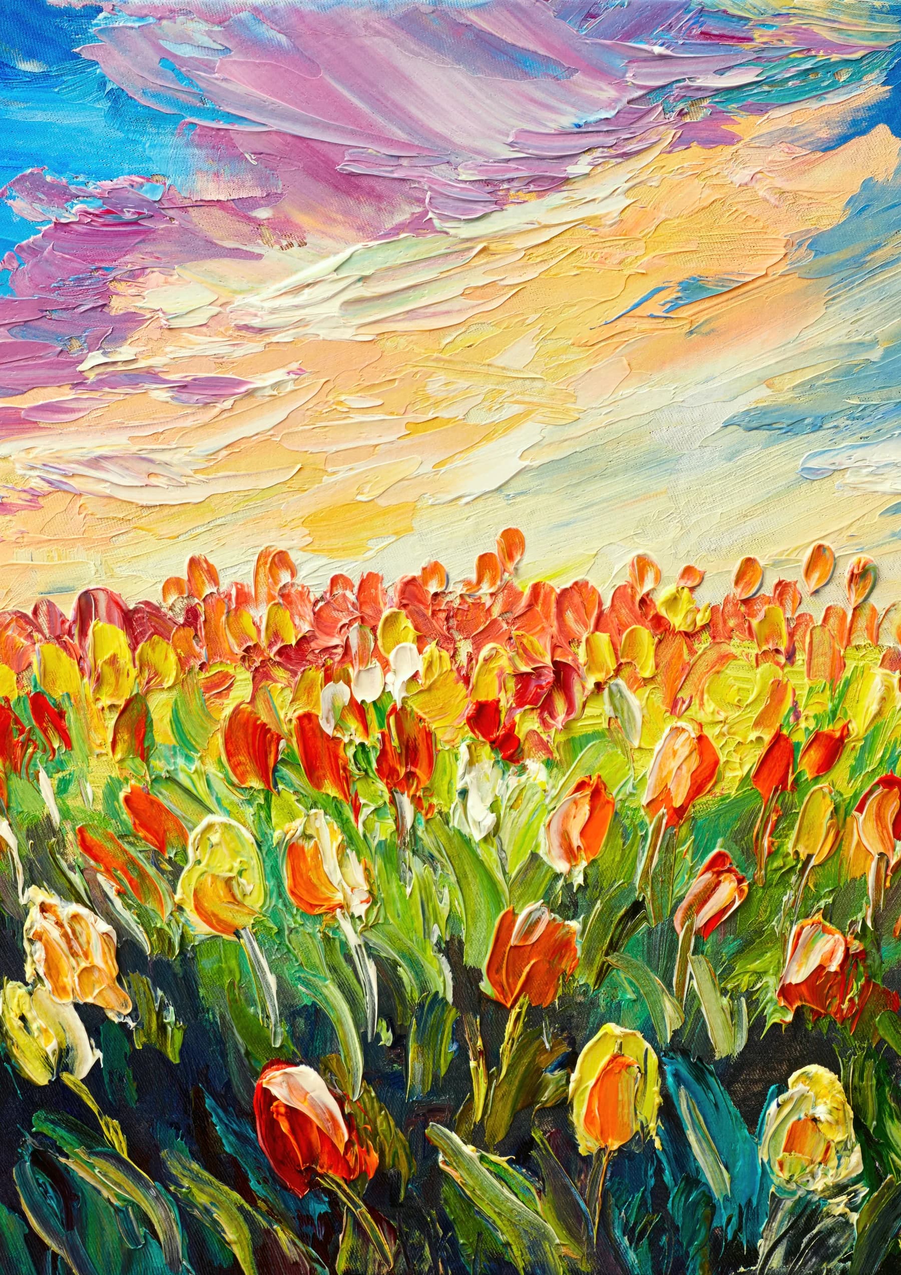 Campo de Tulipanes Colorido