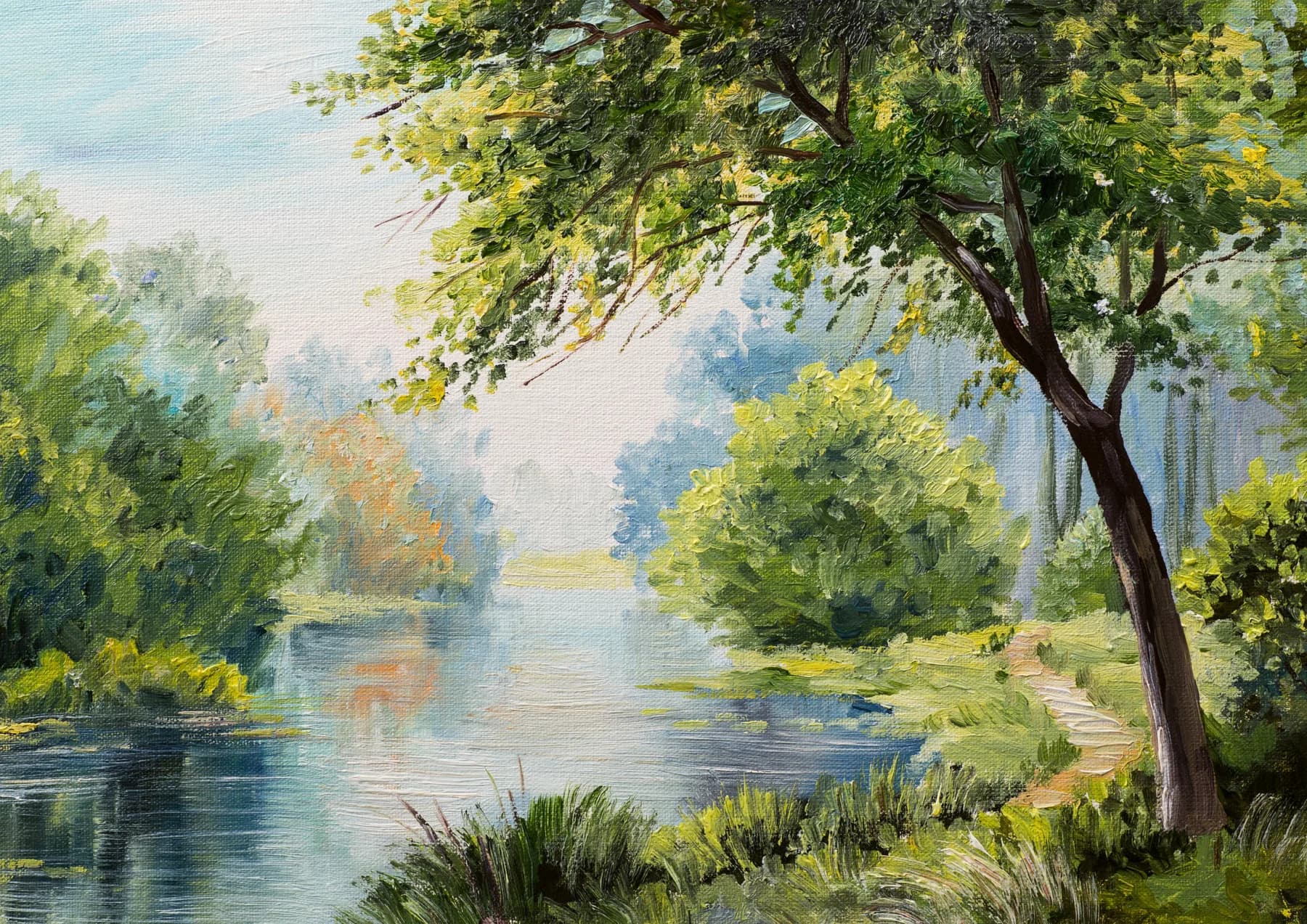 Rio Tranquilo en el Bosque