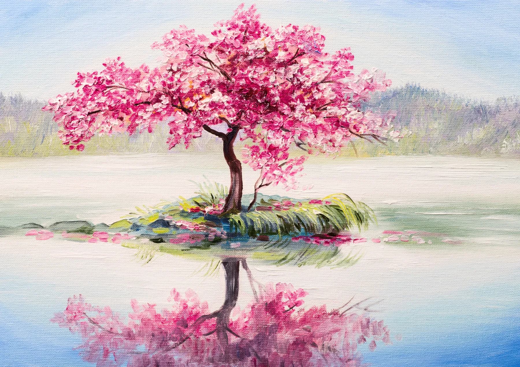 Arbol de Cerezo en Flor con Reflejo