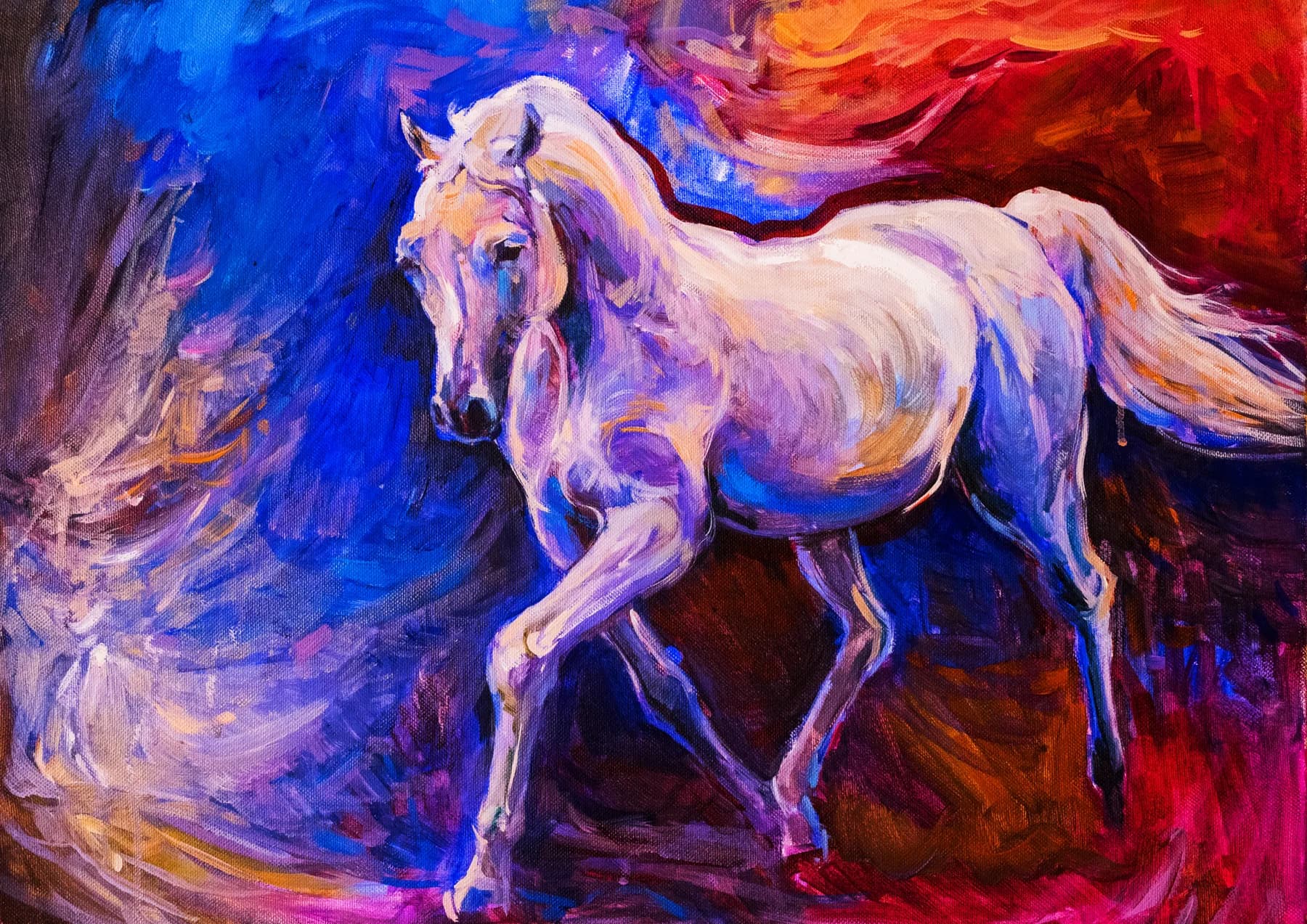 Caballo Blanco Abstracto Colorido