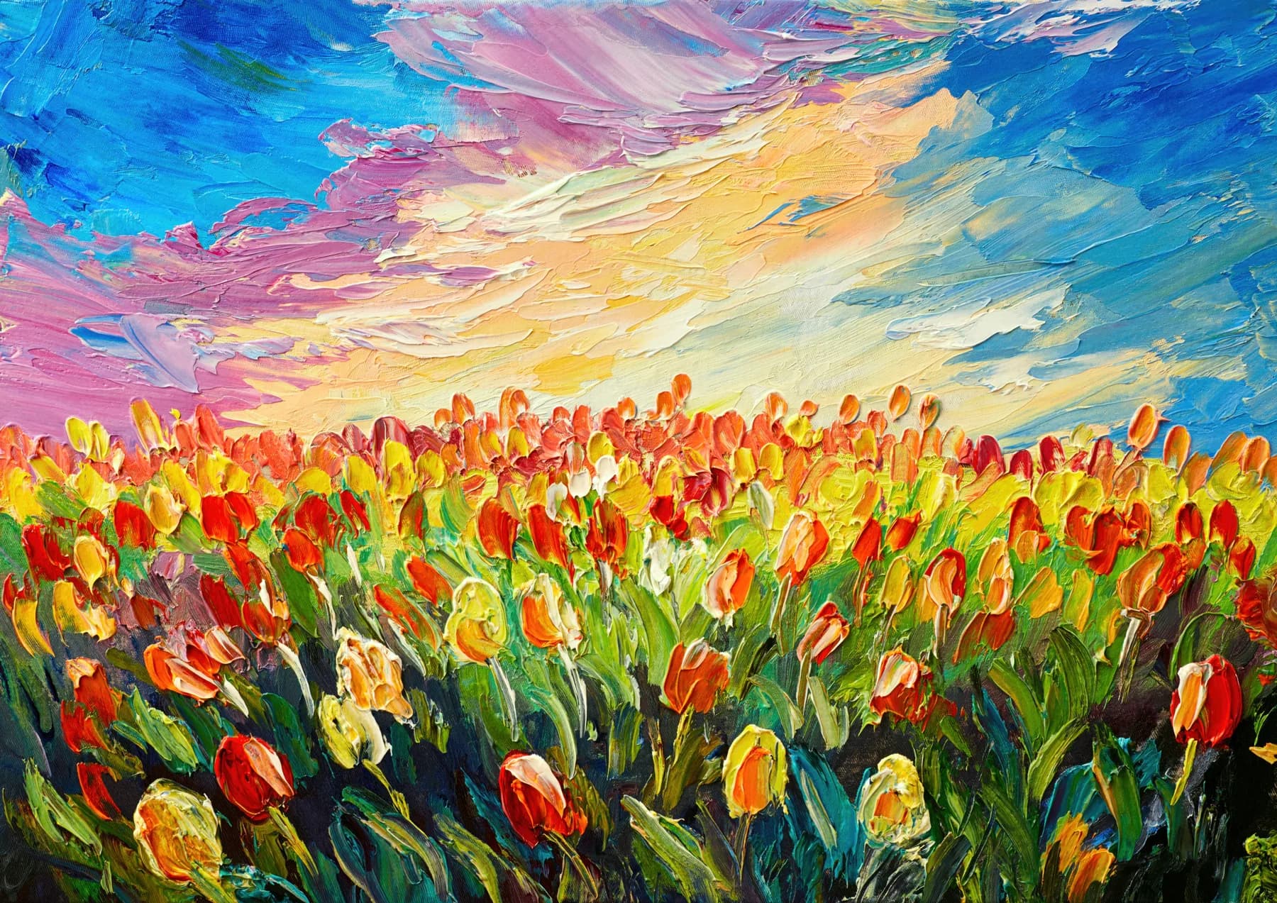 Campo de Tulipanes al Amanecer