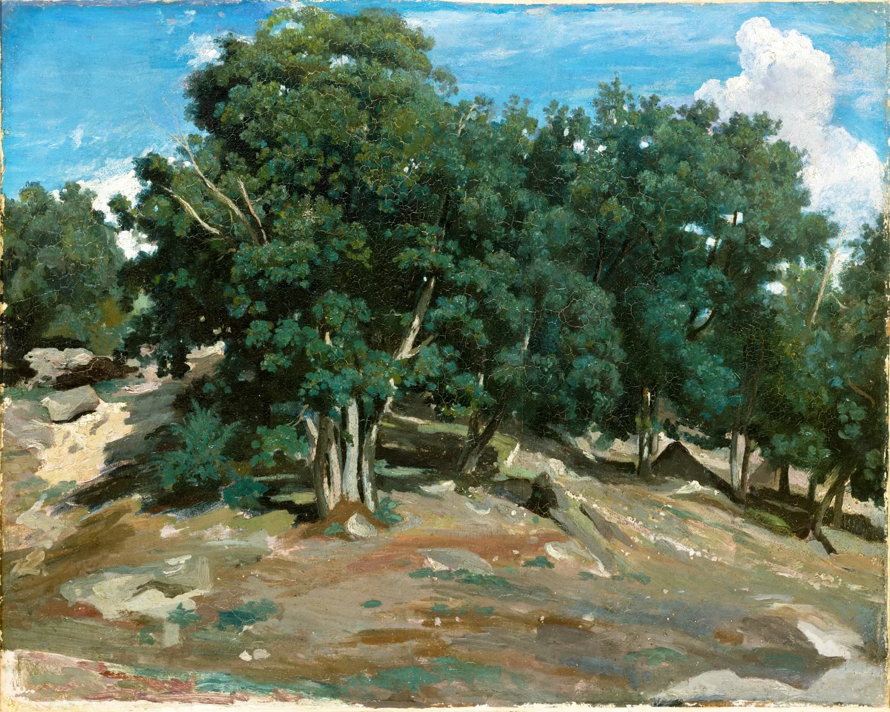 Arboles Frondosos en Verano - Pissarro