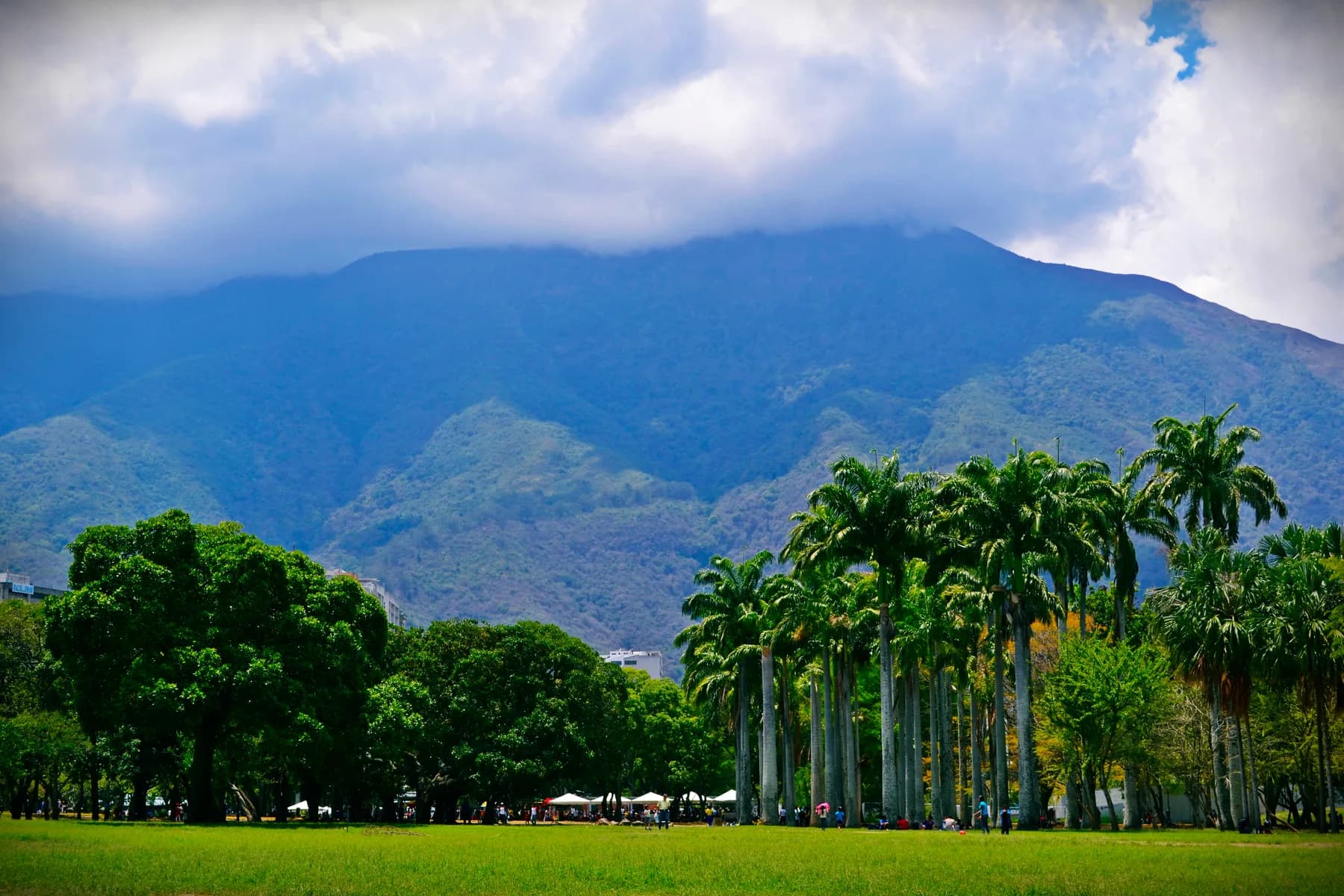 El Avila desde el Parque del Este