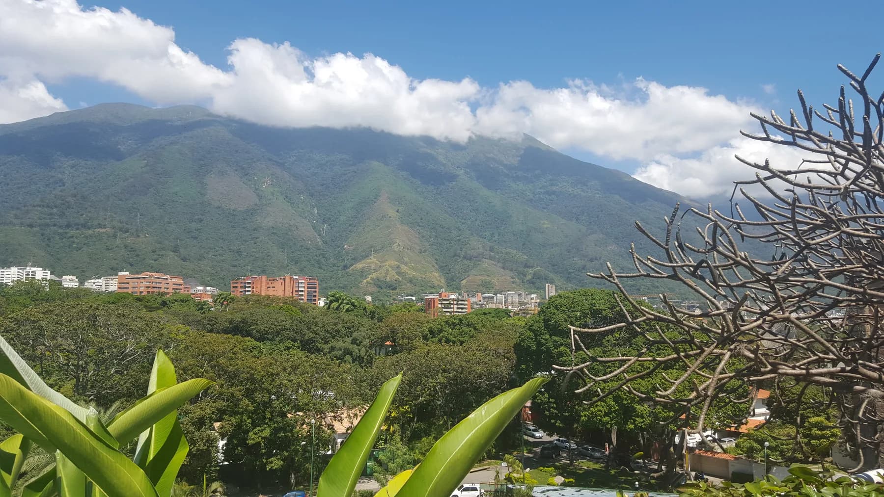 Caracas desde las Alturas III