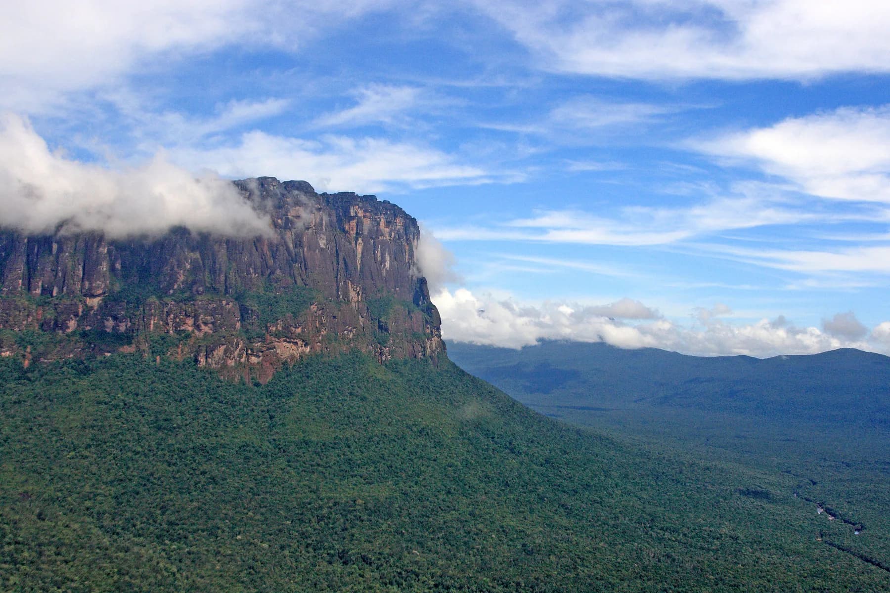 Auyantepui Vista Aerea