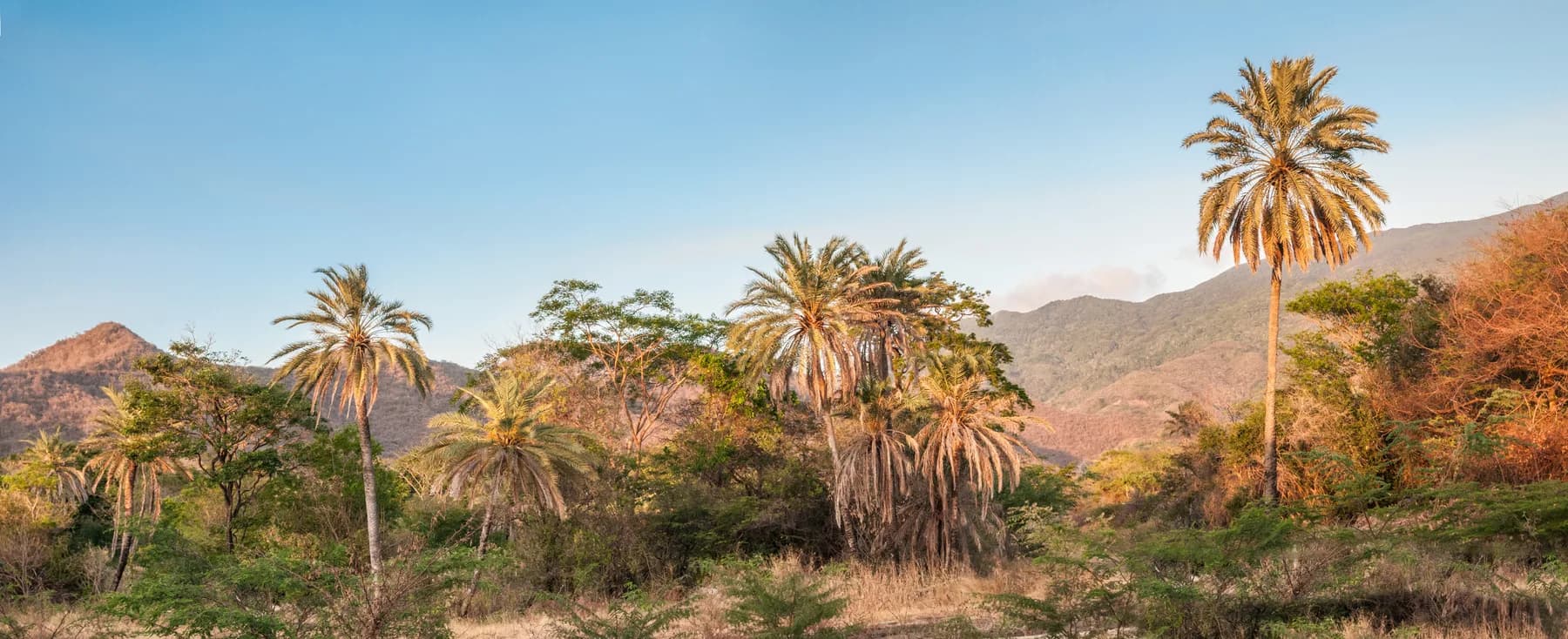 Valle de San Juan Isla Margarita