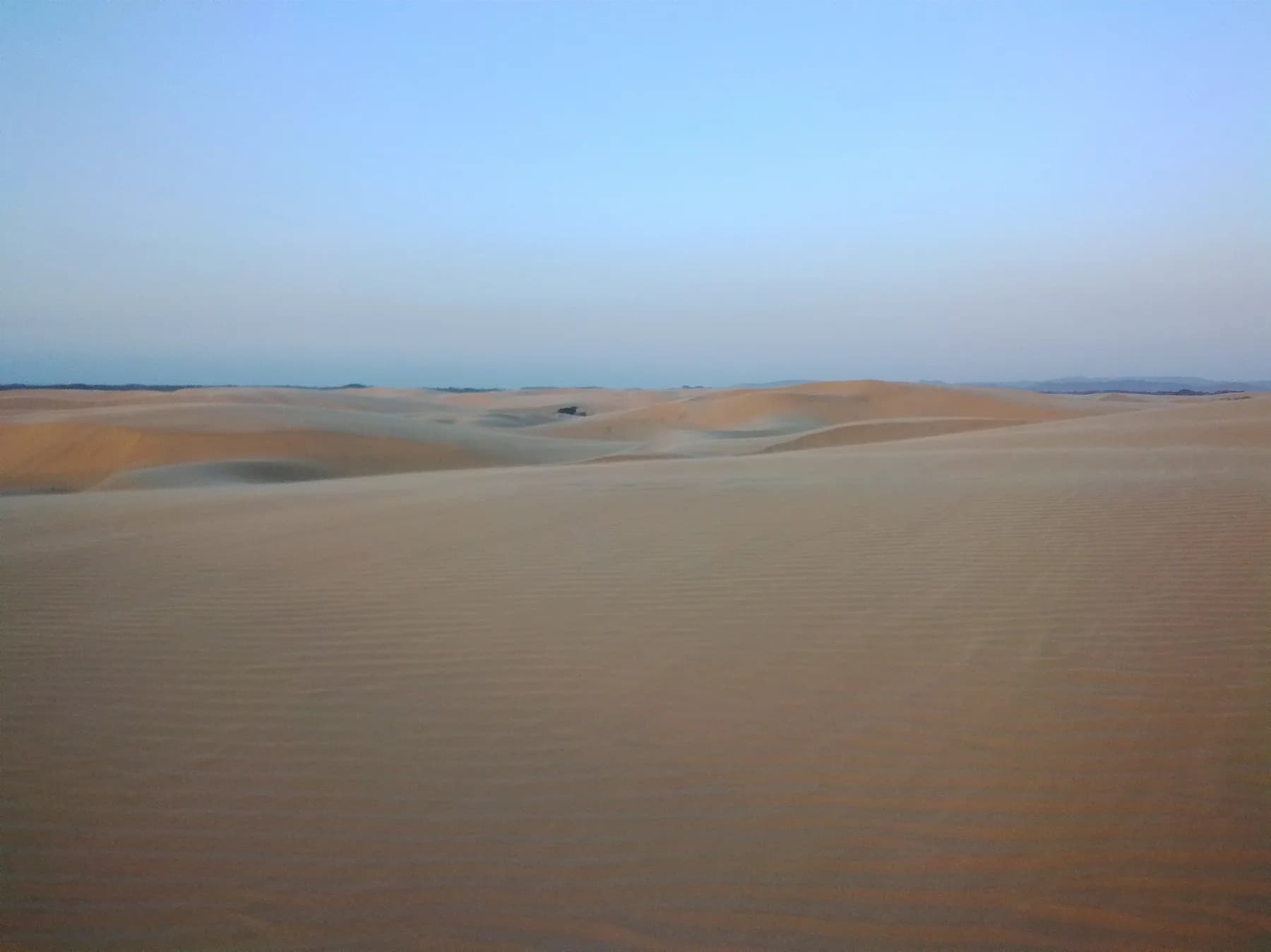 Medanos de Coro Dunas Doradas