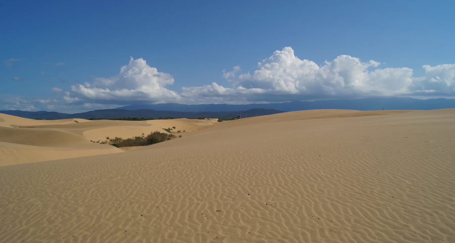 Medanos de Coro Horizonte de Arena