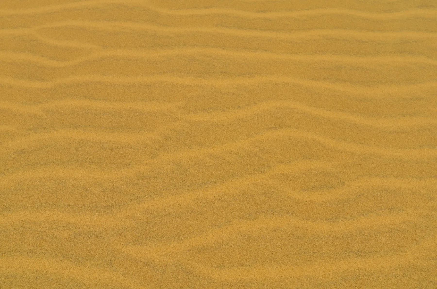 Medanos de Coro Textura de Dunas