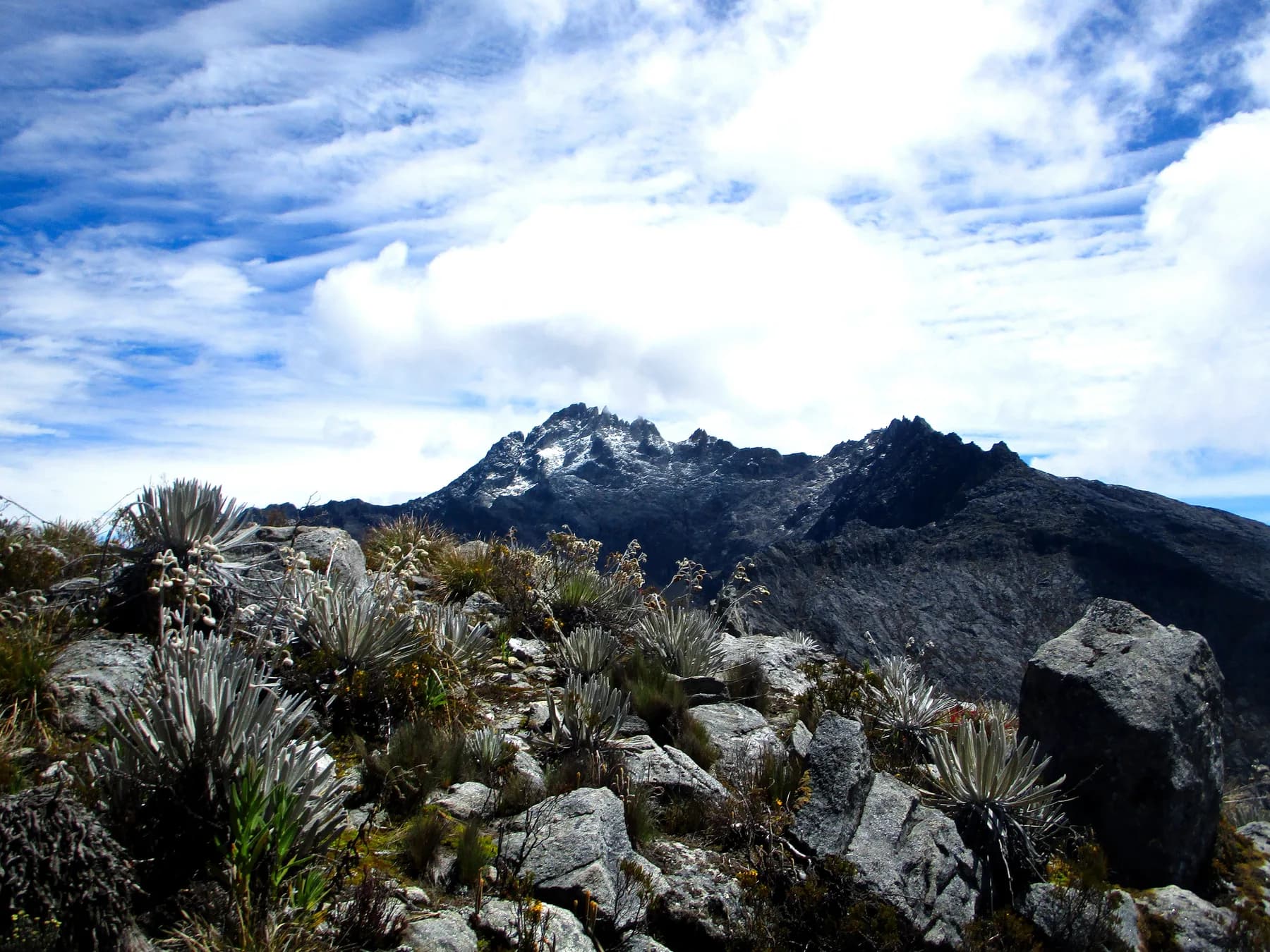 Mérida y Los Andes