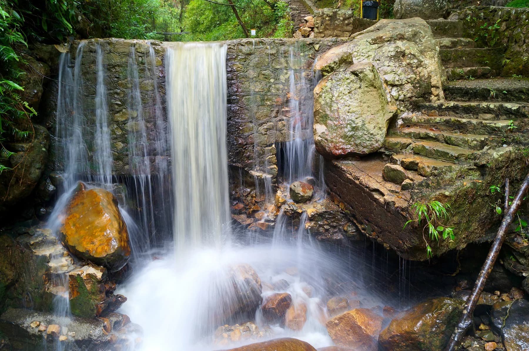 Cascada en el Bosque