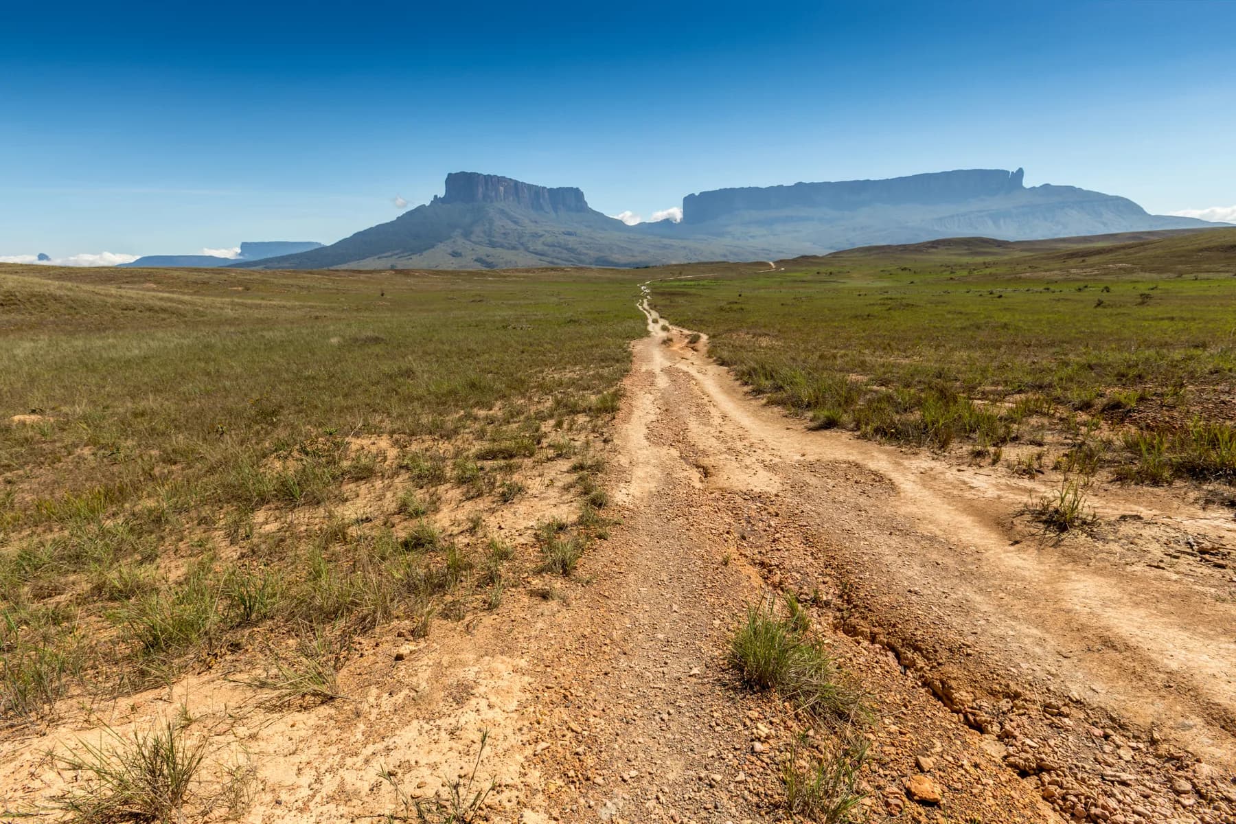 Roraima Camino de Regreso
