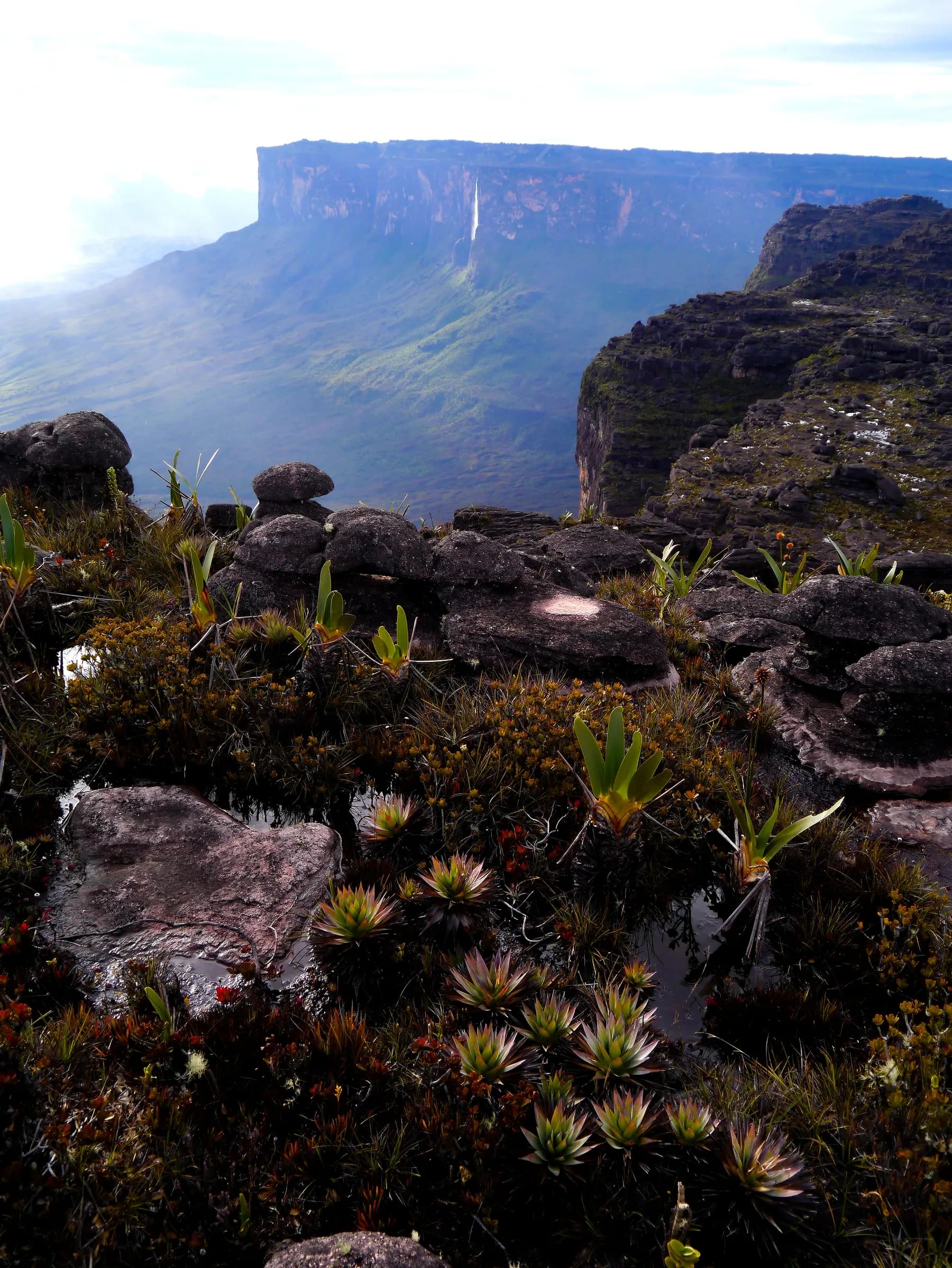 Roraima Formaciones Rocosas