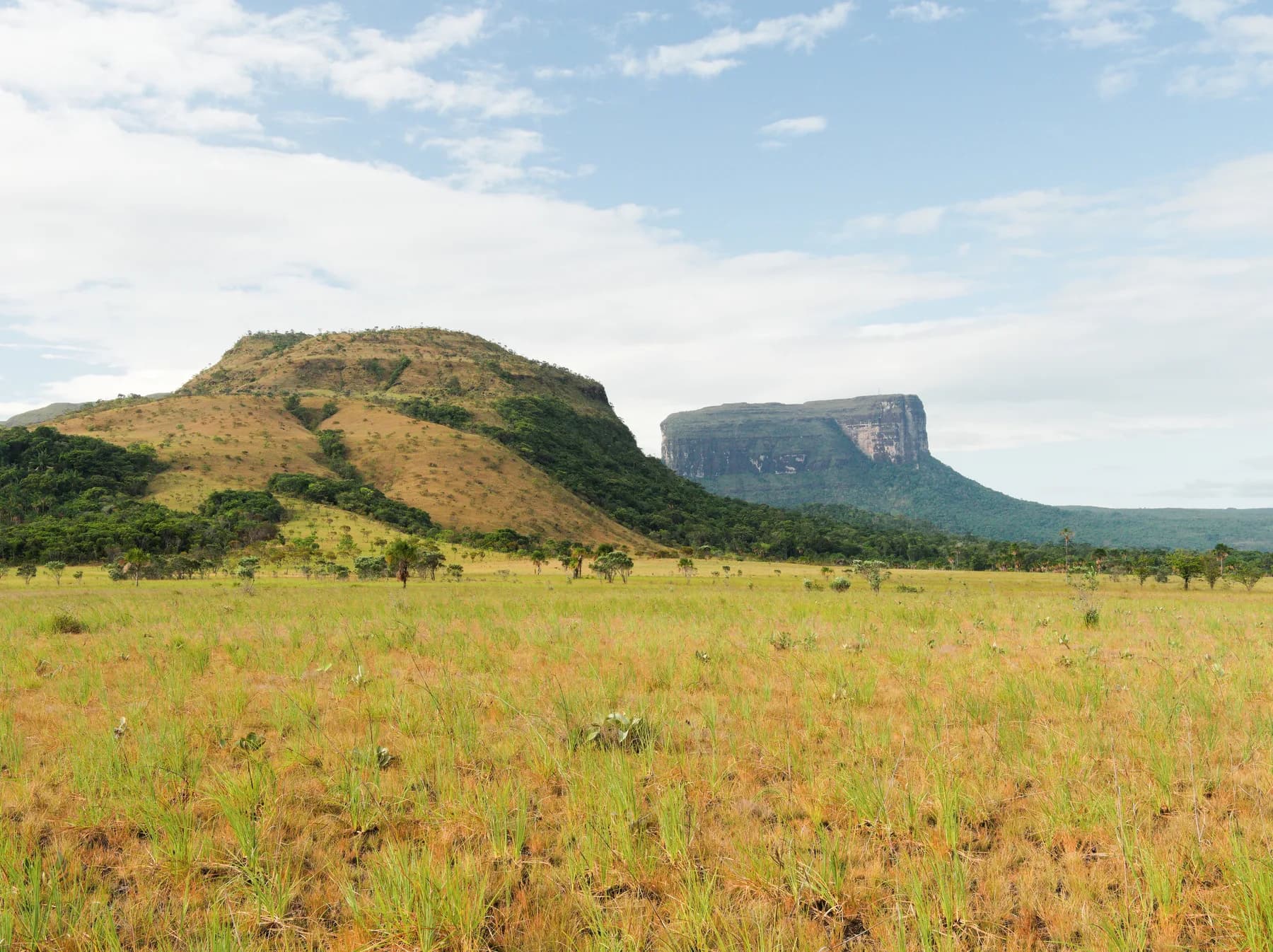 Gran Sabana Kuravaina Tepui