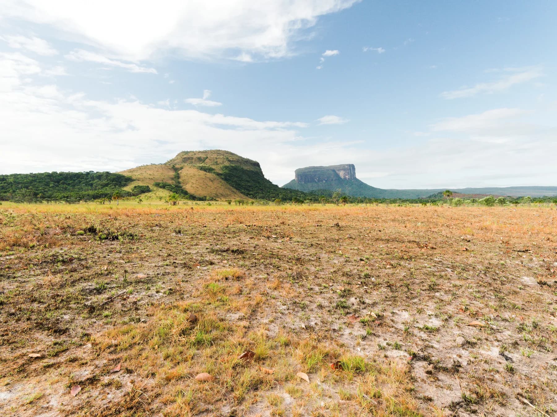 Gran Sabana Kuravaina y Kusari